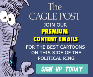 300 What’s Up With Those Cagle Post Ads Everywhere? cartoons